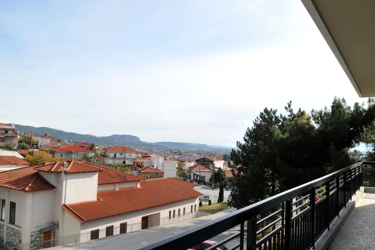 Vila Ananta House Kalambaka Exteriér fotografie
